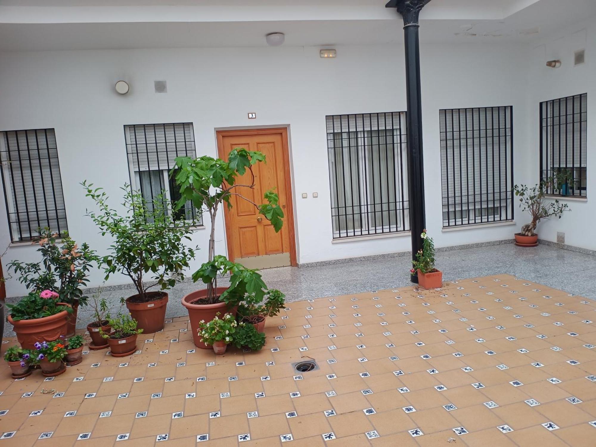 Sunshine Fernando Colon Apartman Córdoba Kültér fotó